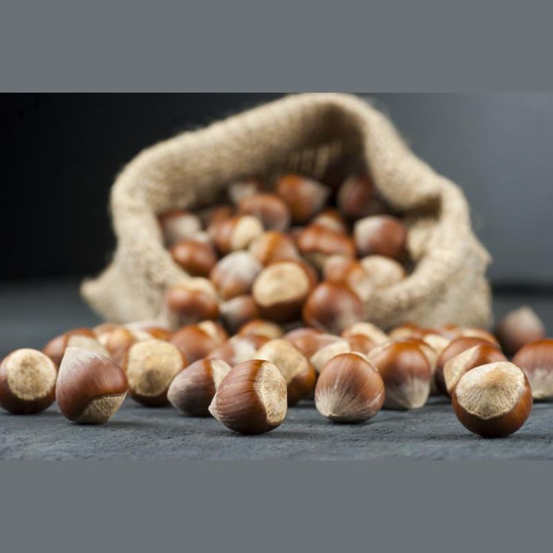 Hazelnuts without salt - 500g